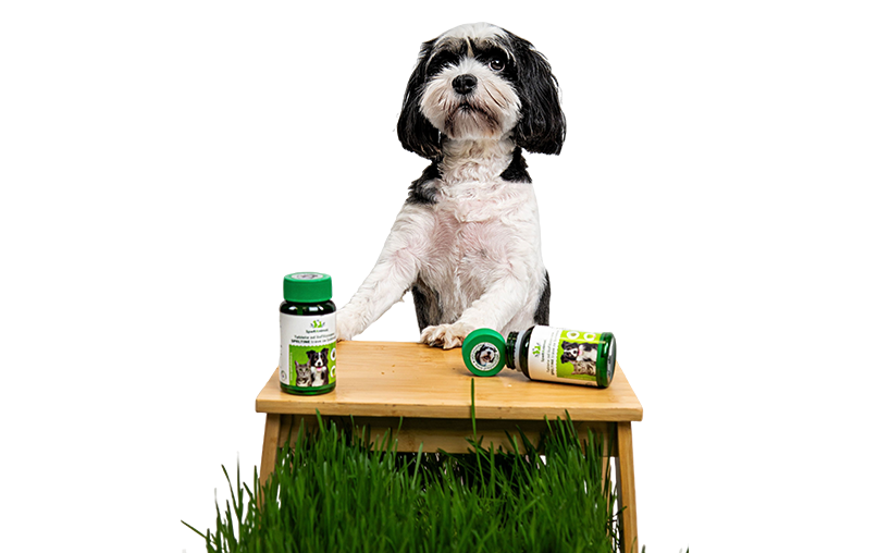 Tablete od speltine trave za tvoje ljubimce. Da zauvek ostanu zdravi i srećni.